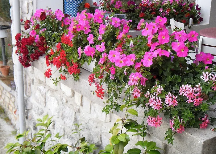 Kestenovi Dvori アパート *