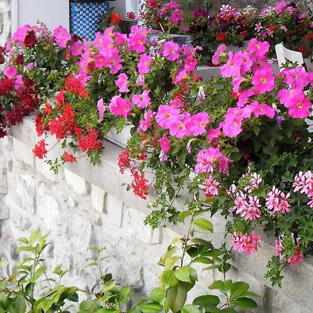 Kestenovi Dvori Apartman *