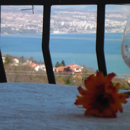 克斯特诺维沃利公寓 公寓